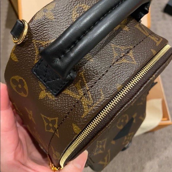 Louis Vuitton Palm Springs Mini - Picture 2 of 12